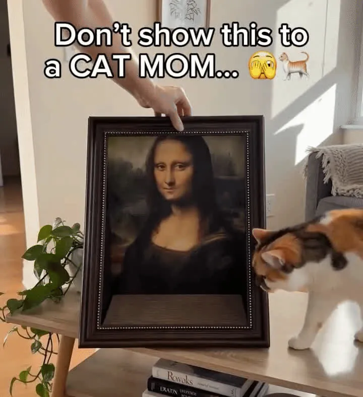 The Meowsterpiece Cat Scratcher in motion with a cat inside