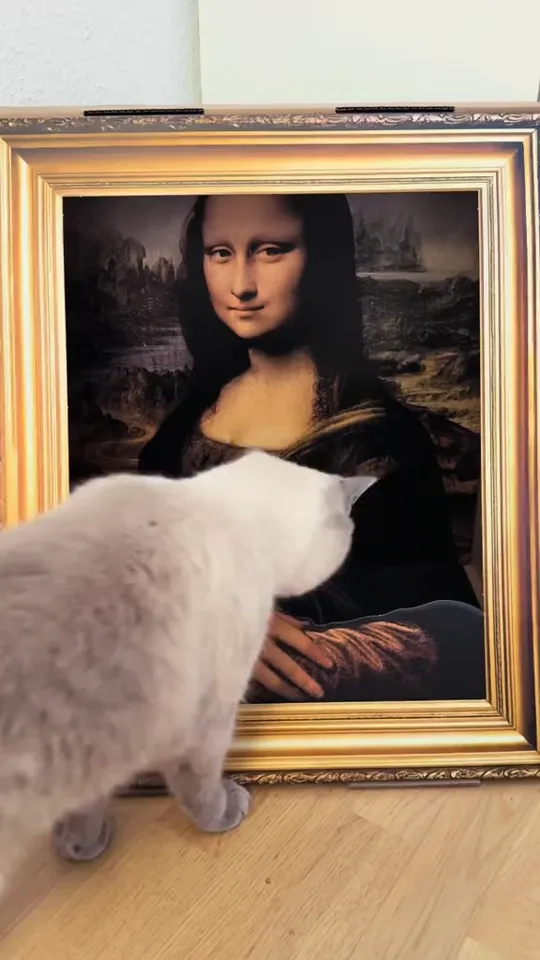 Customer video of a cat scratching and lounging in The Meowsterpiece