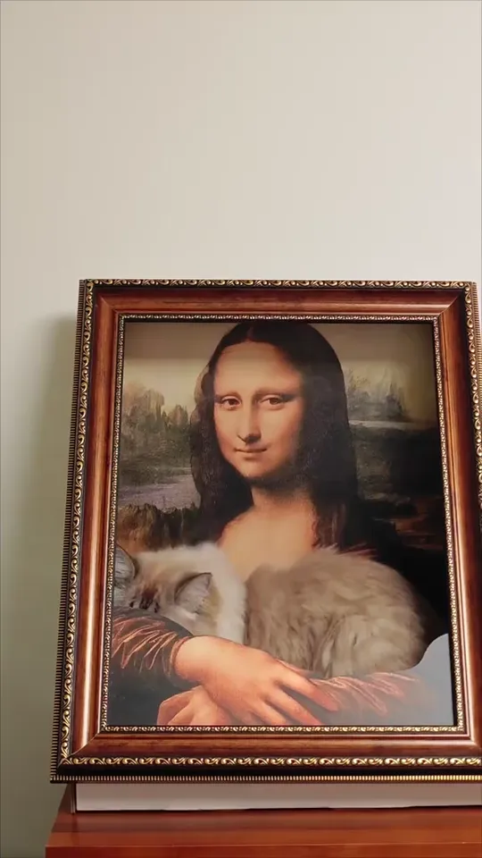 Customer video showing The Meowsterpiece in a living room